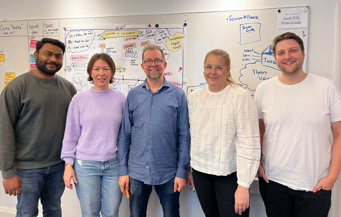 Team Doctricks 1 Doctricks team on Scrum training